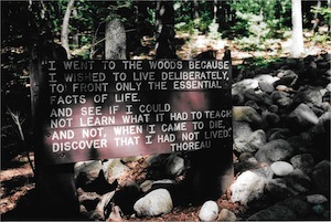 I WENT TO THE WOODS BECAUSE…