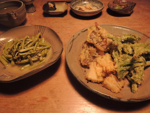 山菜の初物で夕ご飯 山菜の初物で夕ご飯