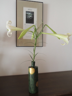 シンテッポウユリ