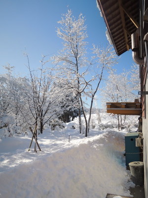 里山の冬景色_バックヤード