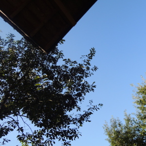 夏空、雑木、軒