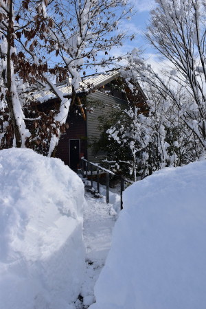 雪かきを終えて