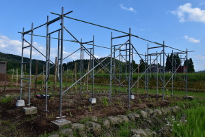 防虫ネット用フレーム 防虫ネット用フレーム