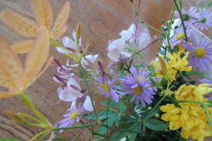 夏の小花 夏の小花