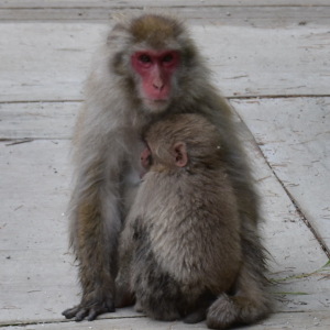 恥ずかしい・・・