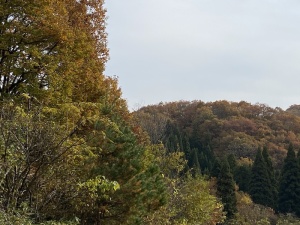 里山の風景