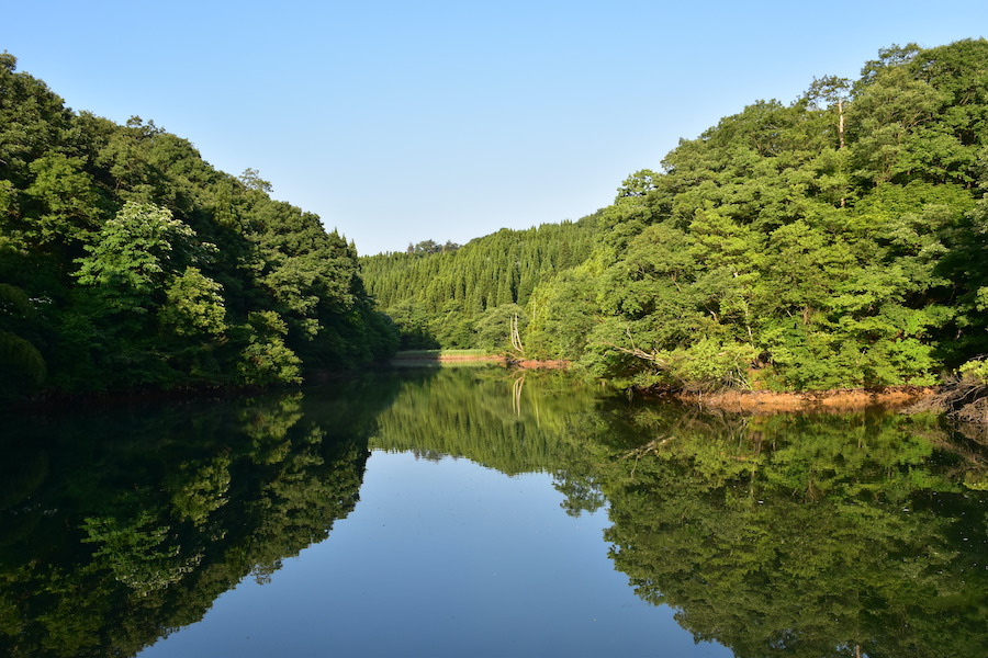 初夏の笹尾池