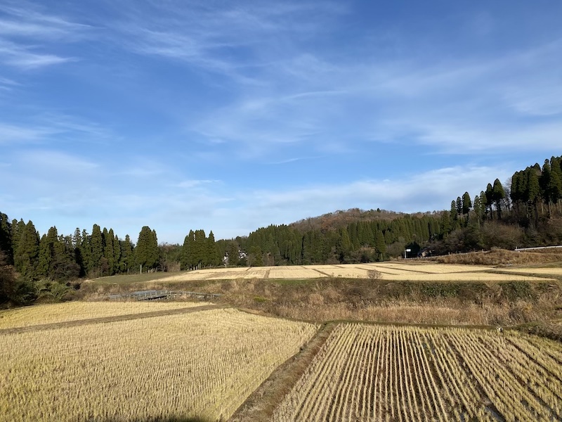 里山の風景